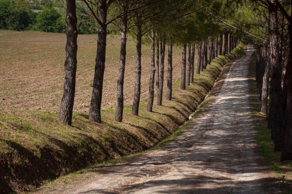 Agriturismo La Pieve กอลเลวัลเดลซา ภายนอก รูปภาพ