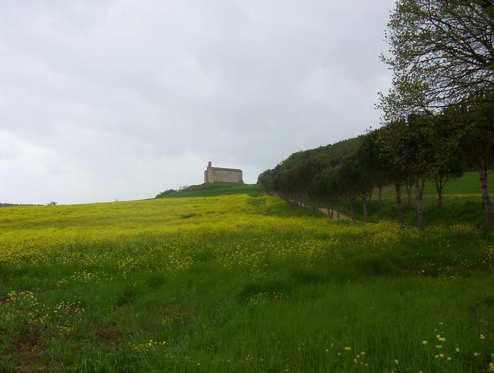 Agriturismo La Pieve กอลเลวัลเดลซา ภายนอก รูปภาพ