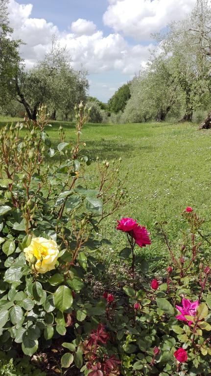 Agriturismo La Pieve กอลเลวัลเดลซา ภายนอก รูปภาพ