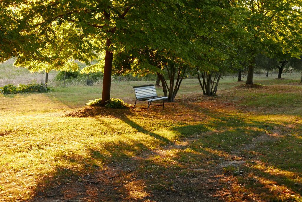 Agriturismo La Pieve กอลเลวัลเดลซา ภายนอก รูปภาพ